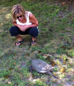 Snapping Turtle and human