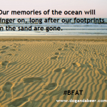 Before Your Footprints Fade #BFAT